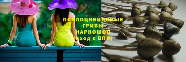 mdpv Волоколамск