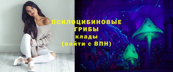 mdpv Волоколамск