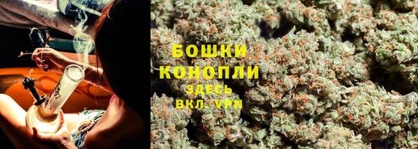 амф Верхний Тагил