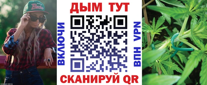 наркошоп Ногинск Бошки марихуана сатива